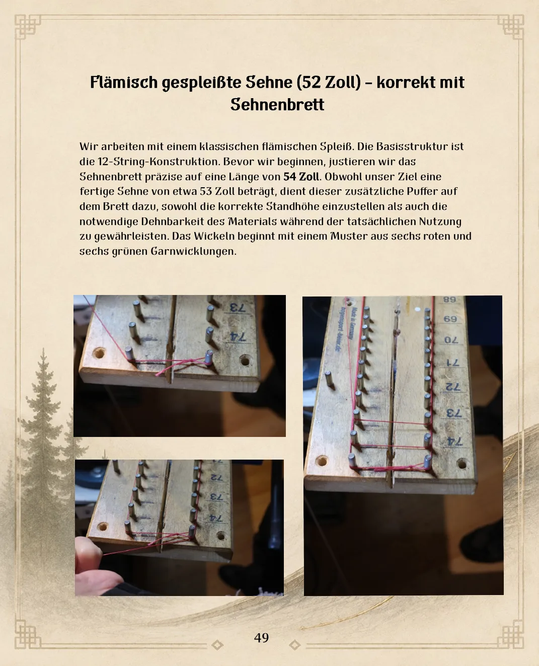 Flämische Sehne